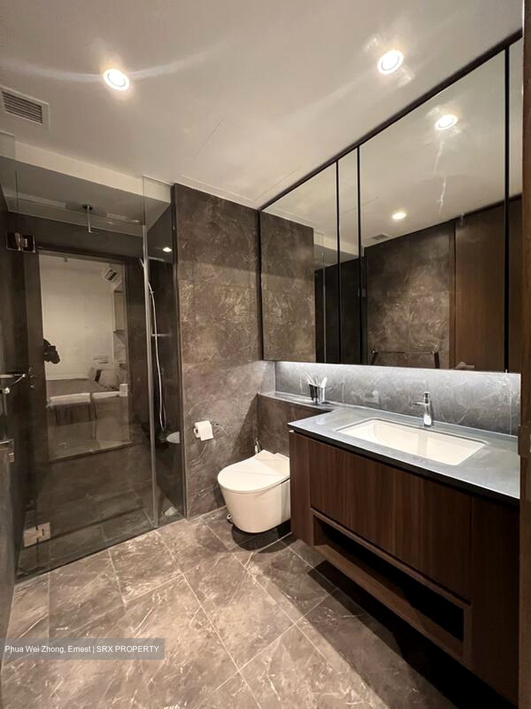 Kopar At Newton (D9), Apartment #508280691